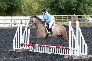 Class 1 - Fences 1'6 to 1'9